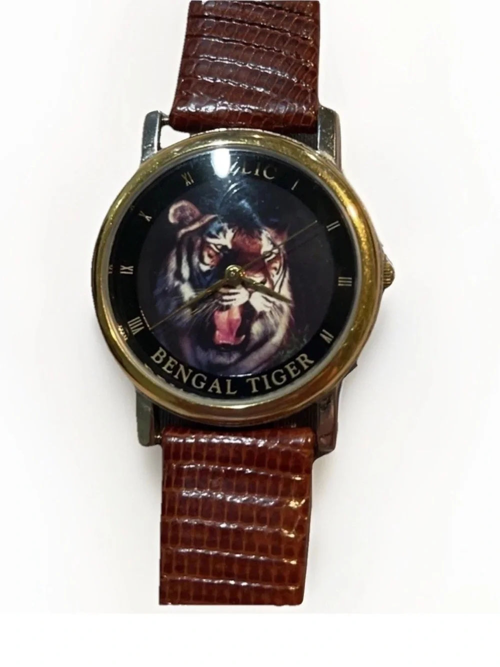 Relic Watch with Brown Leather Strap and Silver Case